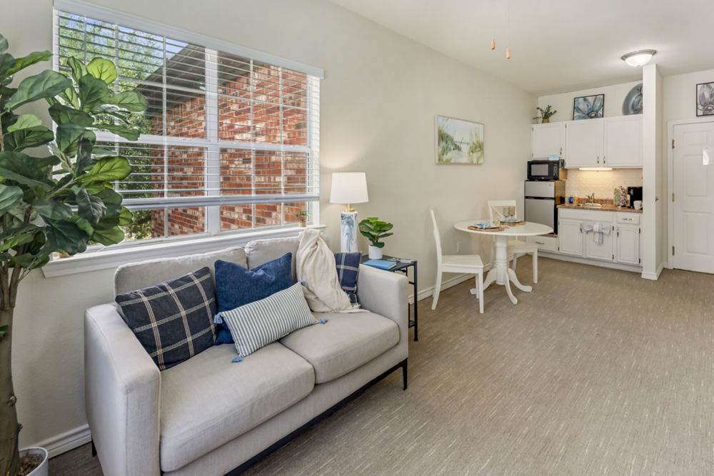 Apartment Living Room